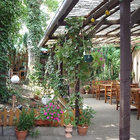 Halle  Gasthof & Pension Hause מראה חיצוני תמונה